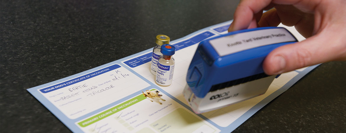 Pet vaccinations in Norfolk