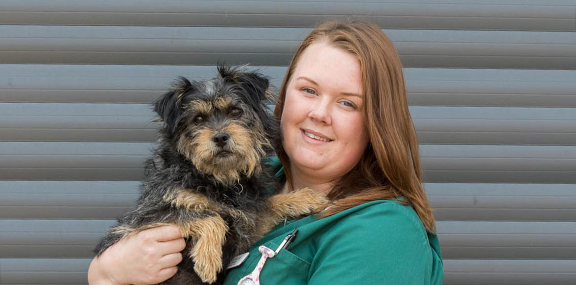 Knotts Yard Veterinary Practice